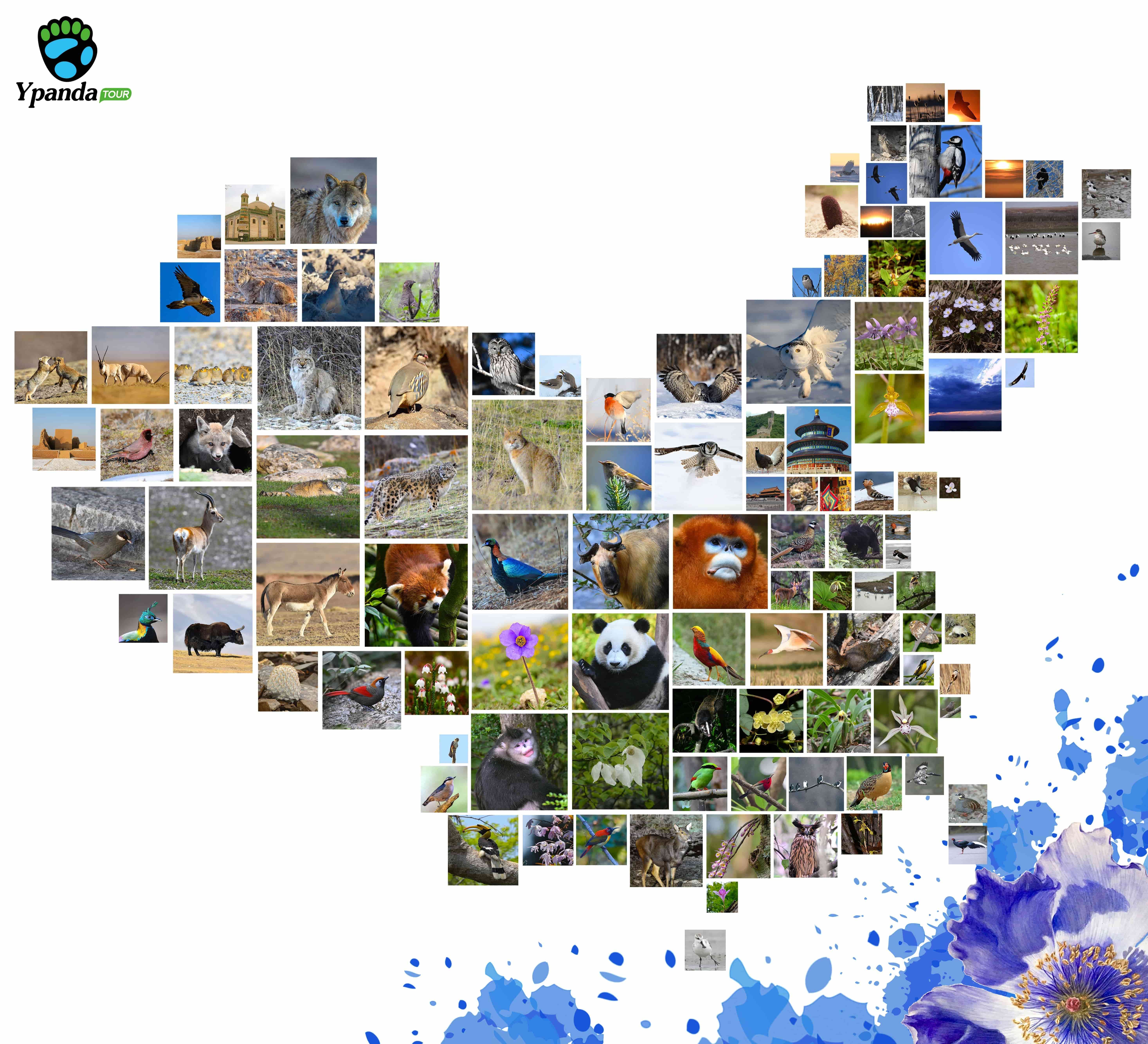 Exhibitor Image